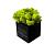 Куб черный, салатовый мох купить с доставкой в любой город Украины, цена от 300 грн.