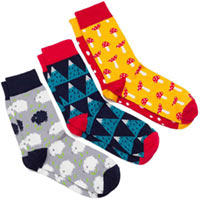 Набор носков Dodo Socks «Yukon» 36-38 купить с доставкой в любой город Украины, цена от 215 грн.