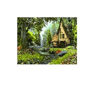 Картина-раскраска Raskras «Дом на опушке леса» 40х50 см купить с доставкой в любой город Украины, цена от 320 грн.