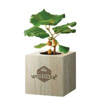 Набор для выращивания Woodner «Путешественник Киви» купить с доставкой в любой город Украины, цена от 259 грн.