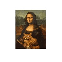 Картина-раскраска Raskras «Монна Лиза с котом» 40х50 см купить с доставкой в любой город Украины, цена от 320 грн.