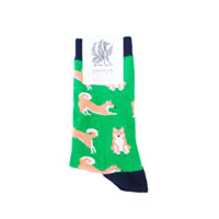 Носки Griffon Socks Four-legged friends «Собака» купить с доставкой в любой город Украины, цена от 85 грн.