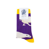 Носки Griffon Socks Four-legged friends «Мишка» купить с доставкой в любой город Украины, цена от 85 грн.
