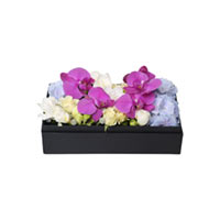 Коробка с цветами La Fleur  «Моей нежной» купить с доставкой в любой город Украины, цена от 1 340 грн.