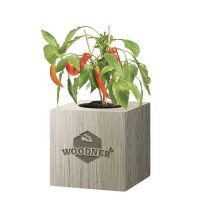 Набор для выращивания Woodner «Перчик» купить с доставкой в любой город Украины, цена от 259 грн.