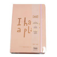 Блокнот «I Have A Plan mini» pink купить с доставкой в любой город Украины, цена от 449 грн.