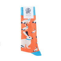 Носки Griffon Socks Four-legged friends «Заяц» купить с доставкой в любой город Украины, цена от 85 грн.