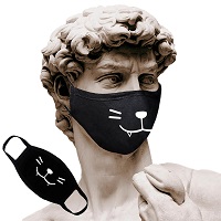 Защитная маска для лица Just Cover «Кошка» купить с доставкой в любой город Украины, цена от 79 грн.