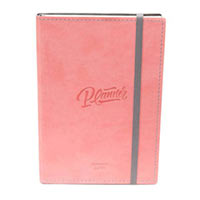 Блокнот Gifty «Planner» розовый купить с доставкой в любой город Украины, цена от 465 грн.