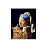 Картина-раскраска Raskras «Девушка с жемчужной сережкой и котом» 40х50 см купить с доставкой в любой город Украины, цена от 320 грн.