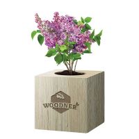 Набор для выращивания Woodner «Романтичная Сирень» купить с доставкой в любой город Украины, цена от 259 грн.