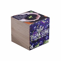 Живой куб Flora Cube «Фиалка» купить с доставкой в любой город Украины, цена от 198 грн.