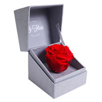 Роза в коробочке La Fleur «Ты моя радость» стабилизированная купить с доставкой в любой город Украины, цена от 670 грн.