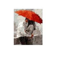 Картина-раскраска Raskras «Красный зонт» 40х50 см купить с доставкой в любой город Украины, цена от 280 грн.