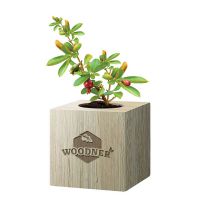 Набор для выращивания Woodner «Гранат» купить с доставкой в любой город Украины, цена от 259 грн.
