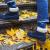 Набор Dodo Socks «Trenton» 42-43 купить с доставкой в любой город Украины. Киев, Харьков, Одесса, Львов. Цена от 215 грн.