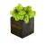 Куб коричневый, салатовый мох купить с доставкой в любой город Украины. Киев, Харьков, Одесса, Львов. Цена от 300 грн.